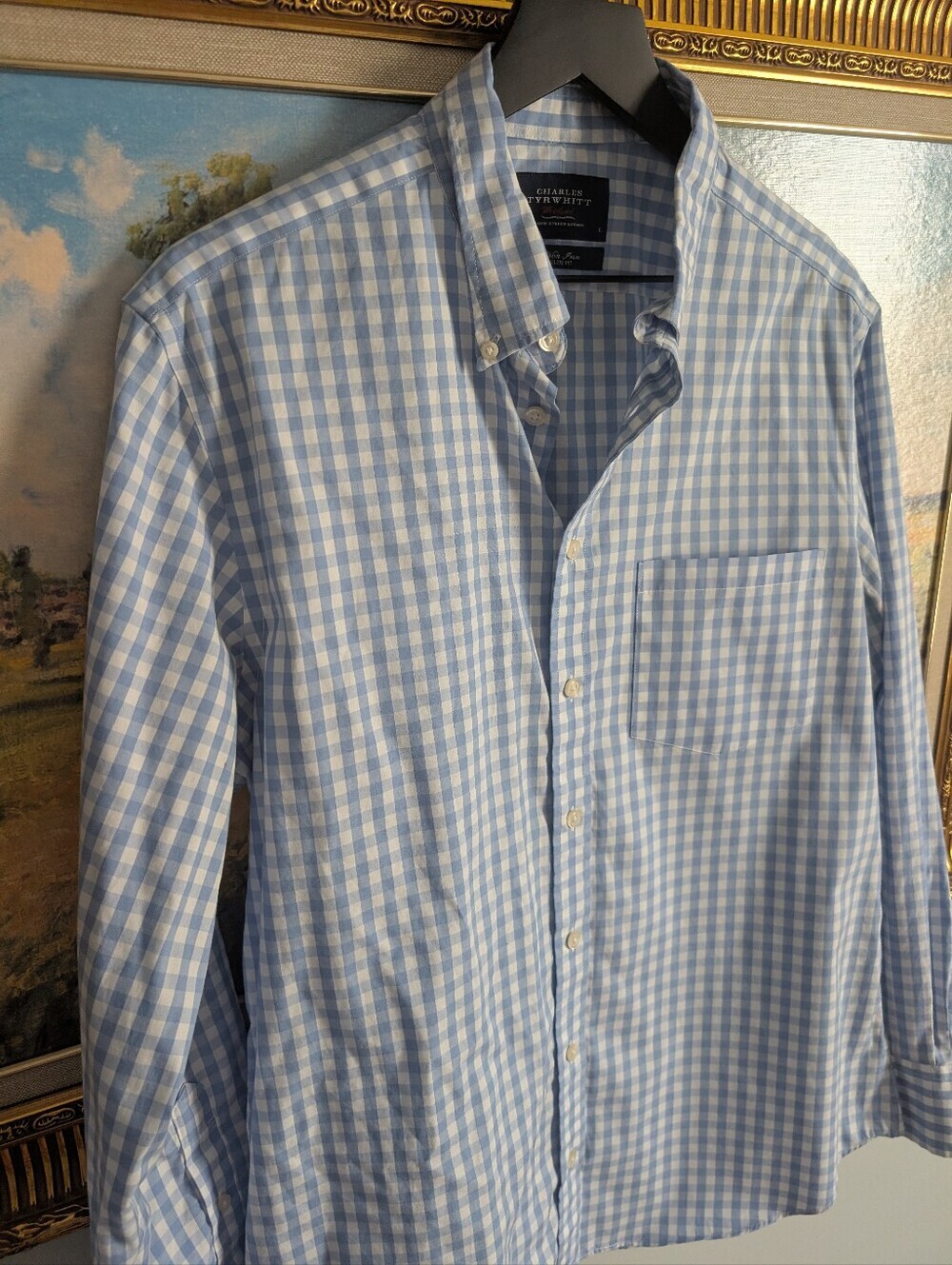 Charles Tyrwhitt Light Blue and White Gingham Button-Down Shirt